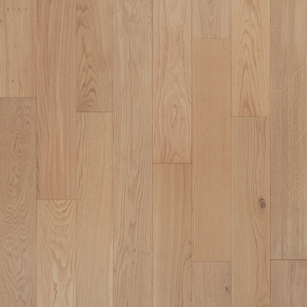 Prestige-Eggshell-1-1.jpg