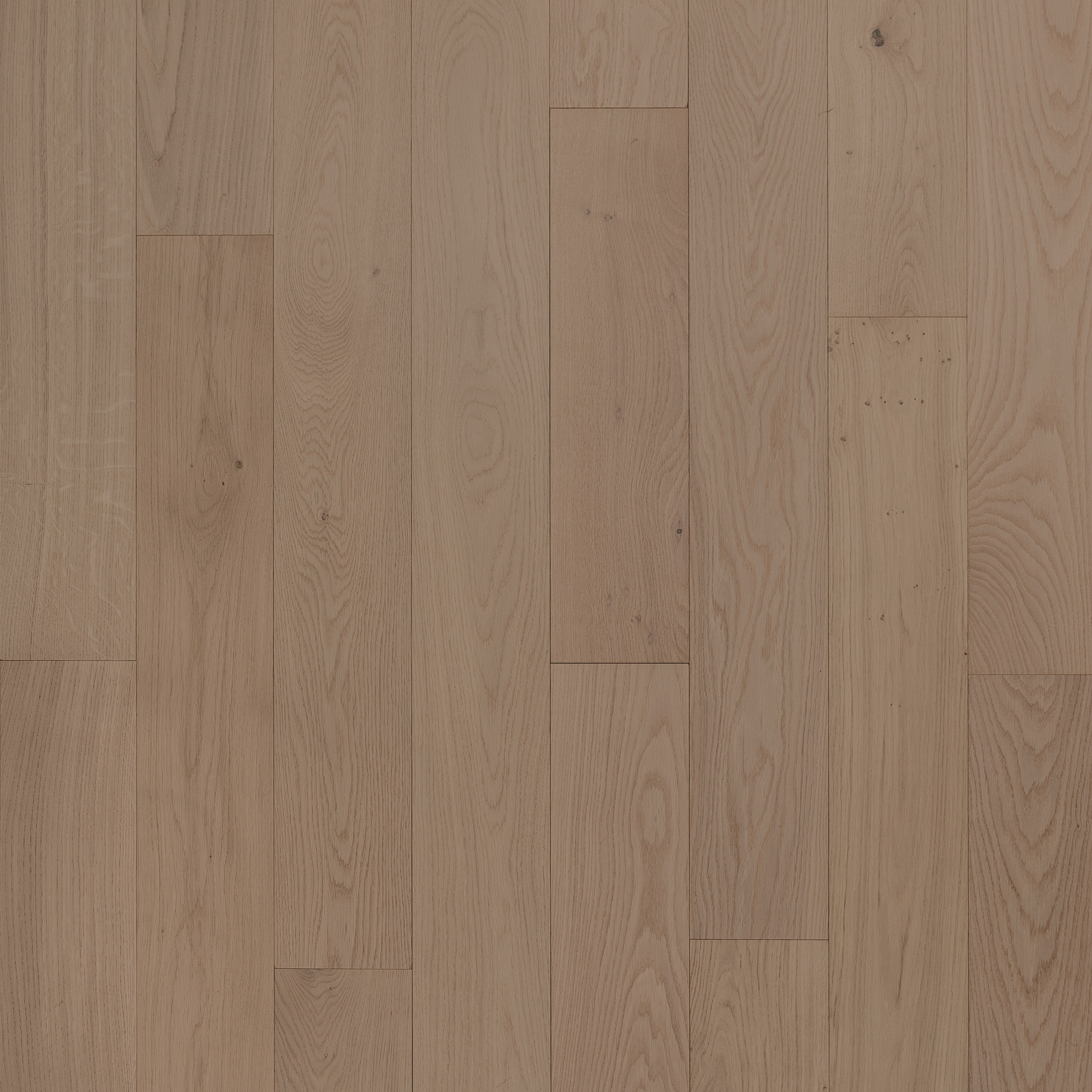 Prestige-Oak-Arctic-1-1.jpg