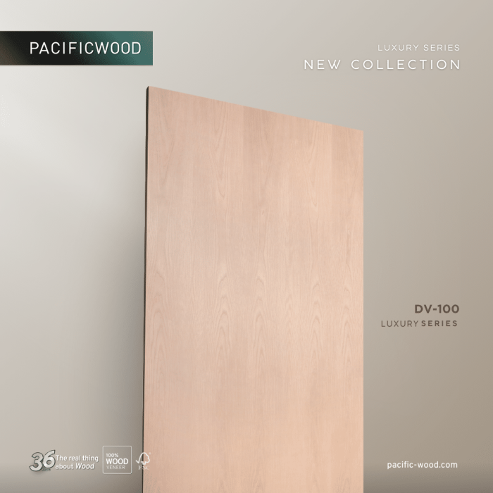 PCF-DV100-02-3.png