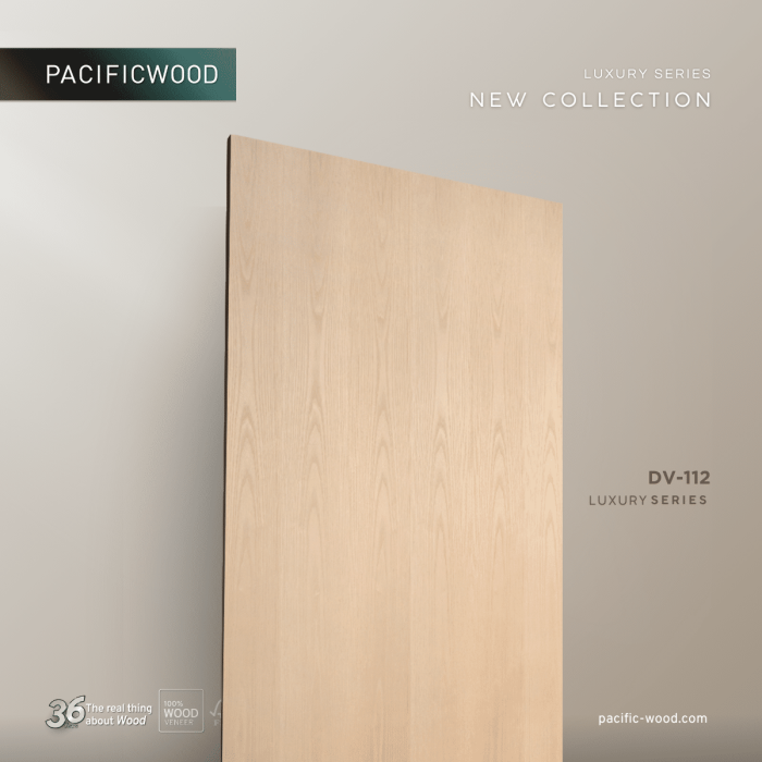 PCF-DV112-02-7.png
