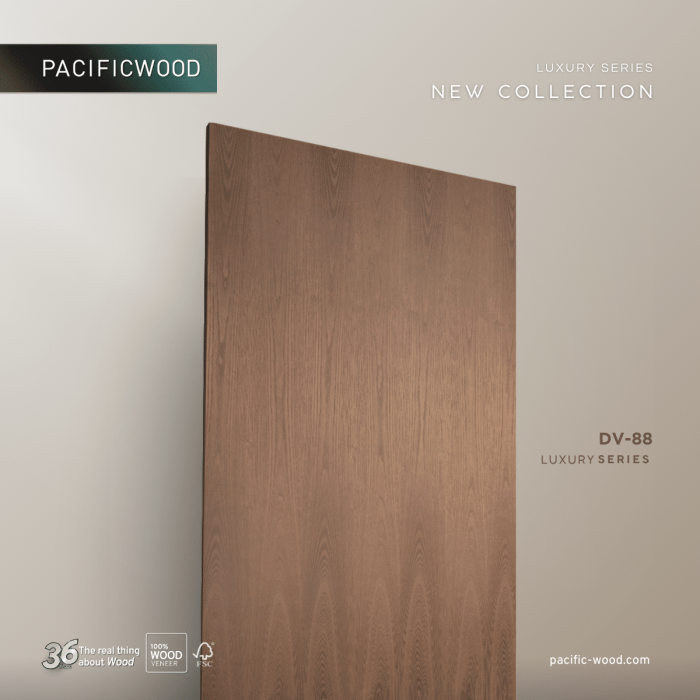 PCF-DV88-02-5.png