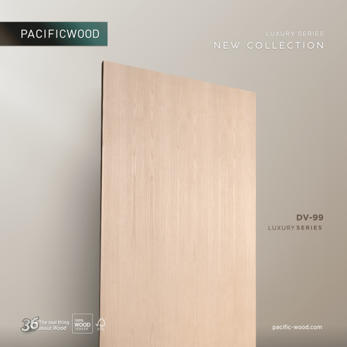 PCF-DV99-02-5.png