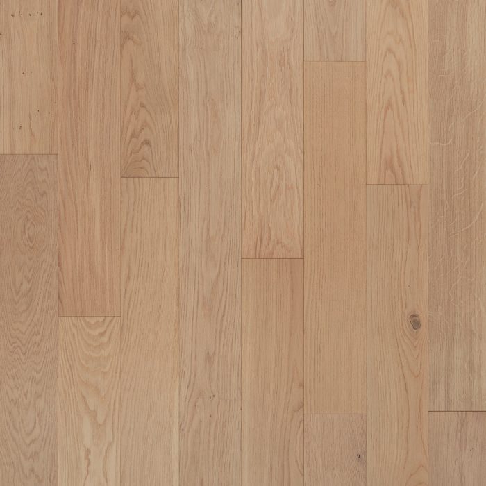 Prestige-Eggshell-1-1.jpg